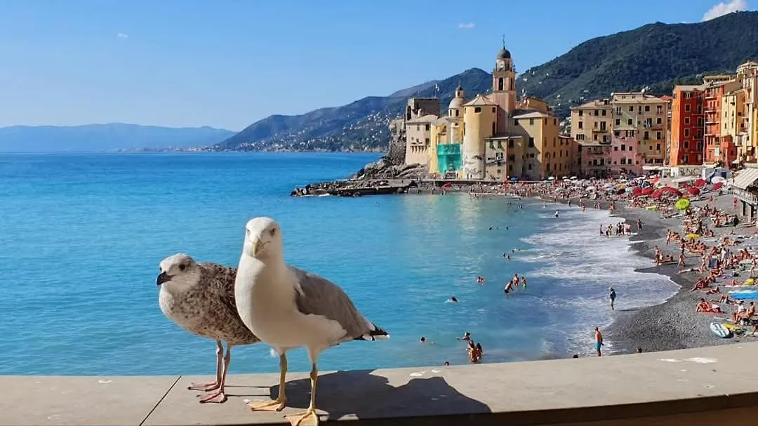 La Casa Di Malu -5Min Centro-Acquario Free Wifi Apartment Genoa